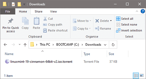 Torrent file size
